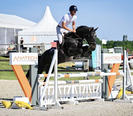 Super hongre 5 ans -clé en main , facile