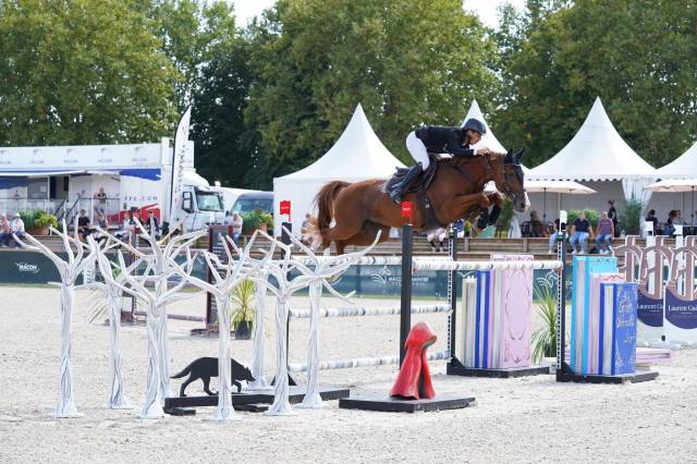 Indépendant travail d’écurie