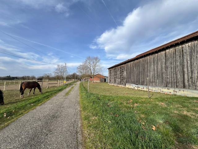 Ferme equestre