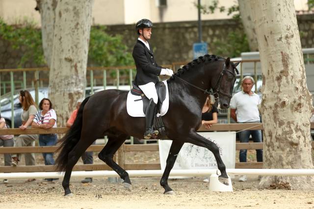 Jango np : offrez l'excellence à vos futures générations