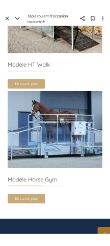 Recherche propriété équestre à louer