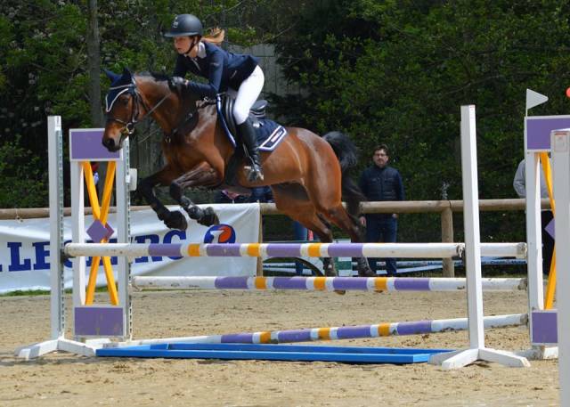 A louer poney d de sport 16 ans maitre ecole