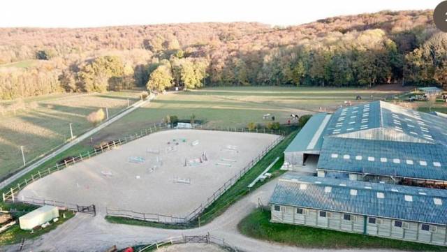 Palefrenier soigneur au haras de bazemont 78