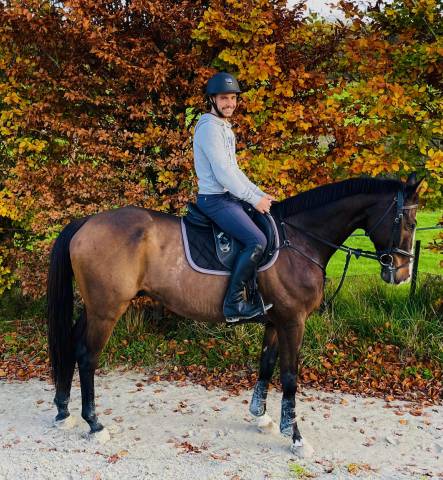 Totem d’ermac - hongre à la retraite