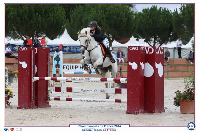 Poney de sport cso- 100- 110 cm