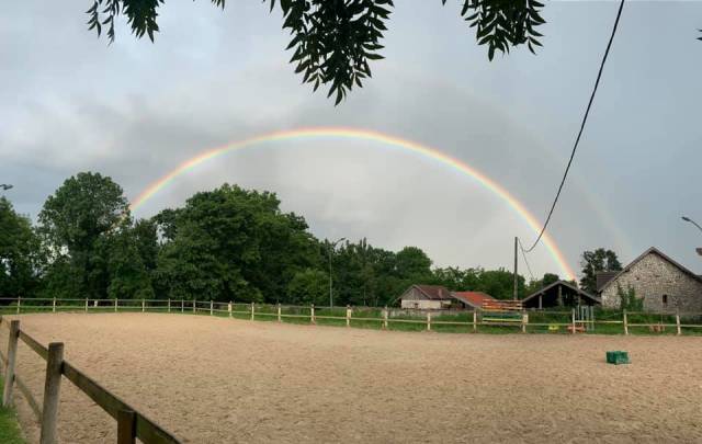 Palefrenier soigneur h/f