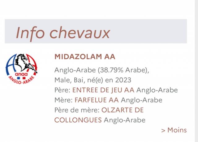 Midazolam : anglo arabe pp
