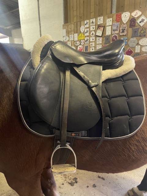 Selle forestier taille 17