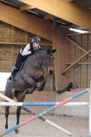 A vendre poulinière 10 ans pleine de dollar du rouet