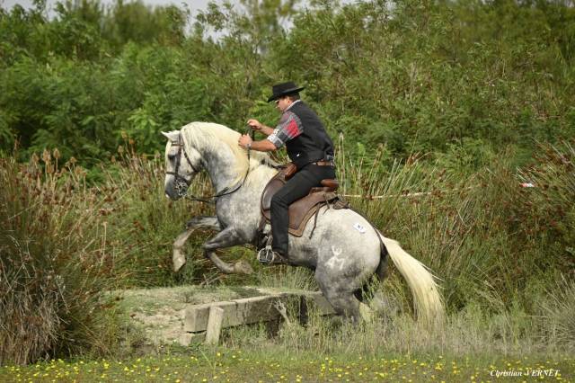 Jackpot de l'estelle : elon camargue