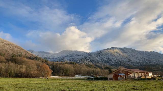 Pension écurie des grands prés draillant