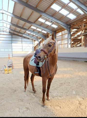 ? recherche demi-pension sérieuse – secteur pontarlier