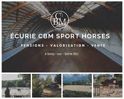 Stage cavalier soigneur (h/f) — écurie de sport à soisy