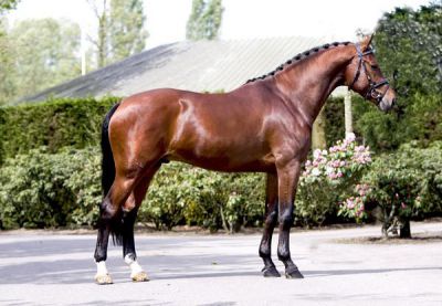 Saillies de ZZ TOP - ETALON DE SPORT