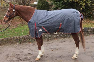 Couverture shetland imperméable 600 deniers et 200 gr gris/rouge - JMR