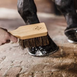 Brosse à sabot - Kentucky