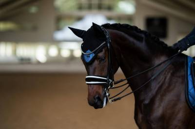 Bonnet Glimmer Polar Night Glimmer - Equestrian Stockholm