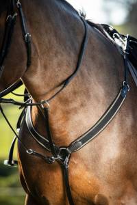 Collier de chasse élastique avec martingale noir / noir HFI