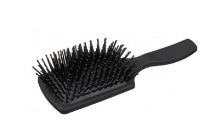 Brosse à crins noir lemieux