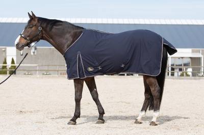 Chemise coton Harrys horse