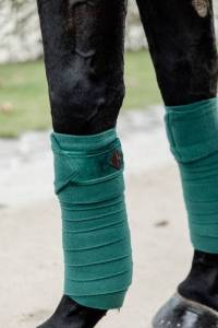 Bandes de polo Velvet  - Kentucky