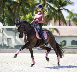 Tapis dressage Pink Lemonade - Equito