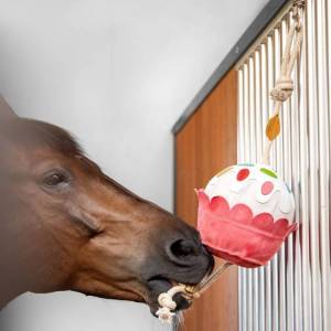 Jouet pour cheval Cupcake - LEMIEUX