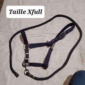 Licol bleu marine taille Xfull avec longe