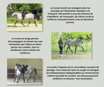 Équitation Baliros, l'équitation à domicile.