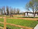 Boxes à louer dans domaine équestre à AIX en Prov (13)