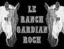 Pension pour chevaux - Le Ranch Gardian Roch (74)