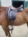 Selle de dressage forestier 