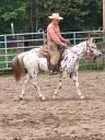 3 ans HONGRE APPALOOSA 