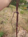 Martingale taille cheval