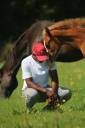 NURSERY EQUINE : Centre d'insémination numéro 1