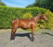 Beau 3 ans par Plot Blue x Ogano Sitte 