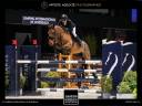 JUMENT CSO 11ANS prix en BAISSE URGENT