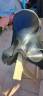 Selle de dressage Eric Thomas 17,5