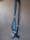 Licol bleu taille cheval 