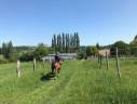 Loue barn de 14 boxes près de Deauville