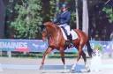 Cheval de dressage - jument de 5 ans