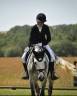 Chouette poney de concours