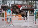 Ponette 6 ans potentiel GP