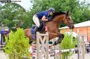 Hongre 12 ans CSO Amateur