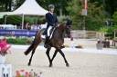 Schoolmaster Prix saint Georges, hongre 13 ans