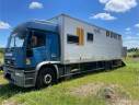 Camion chevaux iveco 