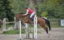 Cheval 13 ans amateur 