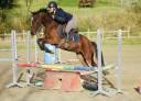 Poney de 5ans 