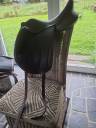 Superbe selle de dressage aachen forestier