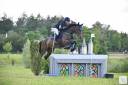 Jument CCE potentiel minimum 3*